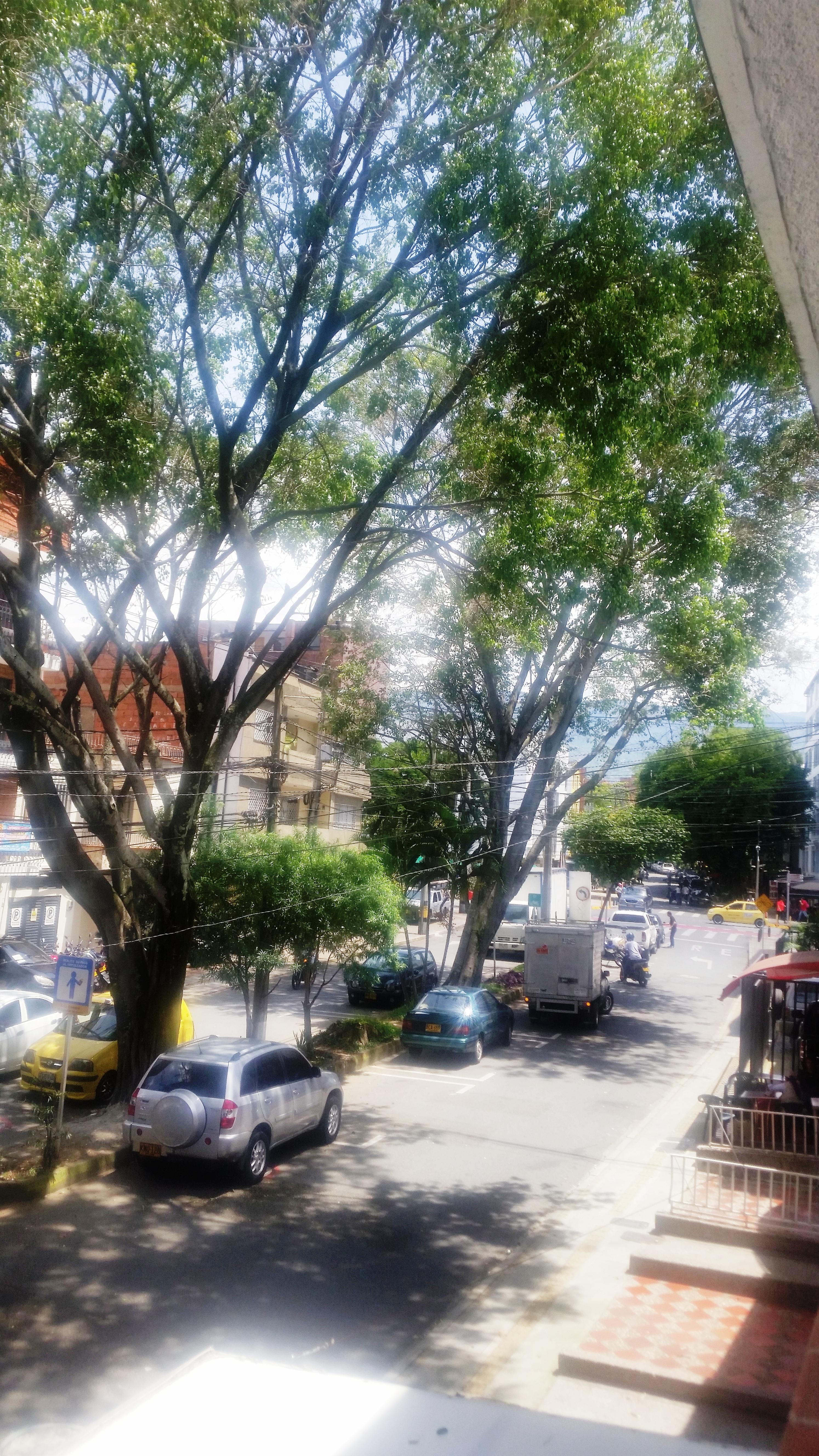 Hotel Quinta Avenida Medellín Eksteriør billede